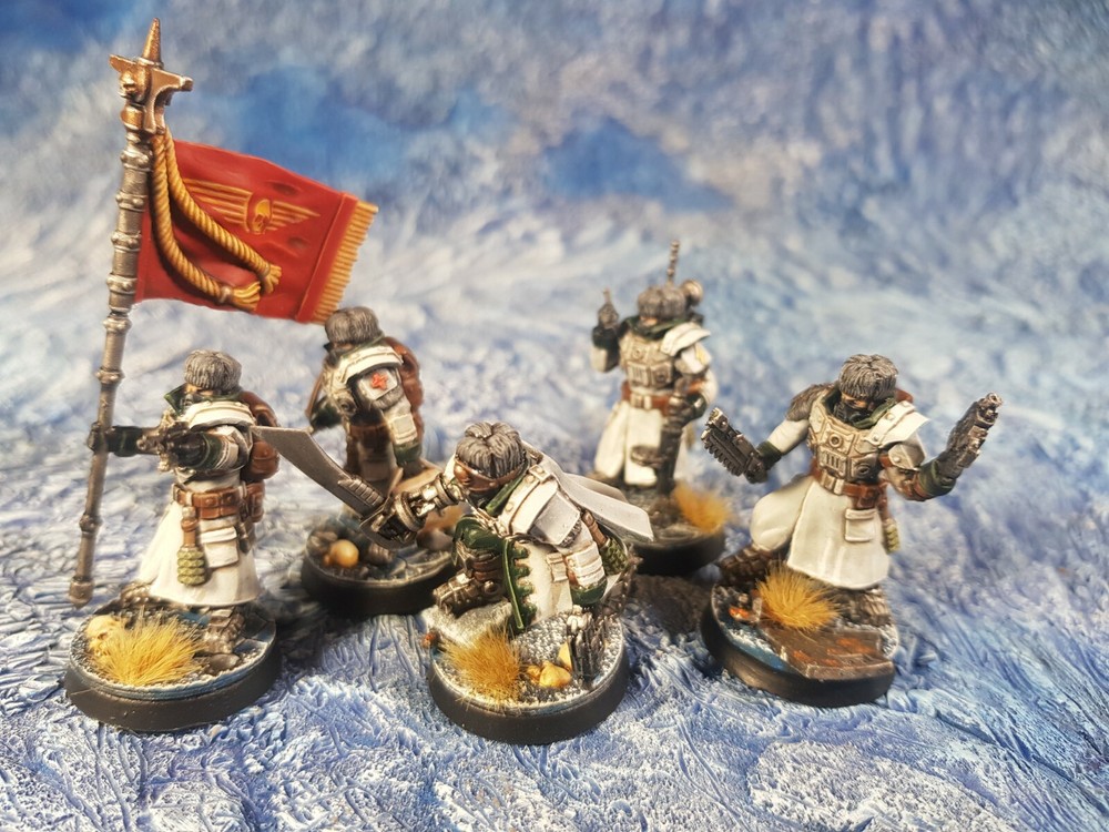Ice Warriors Command Guard of the Imperial Force