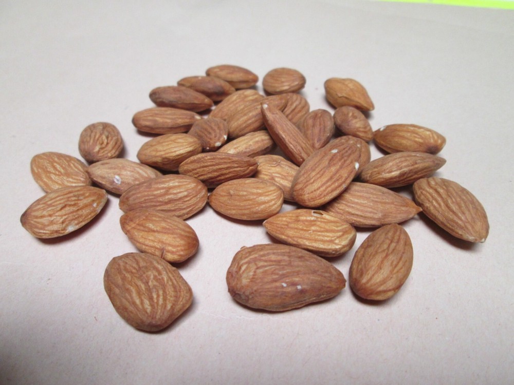 Raw Almonds Shelled 5 lbs-greenbulk