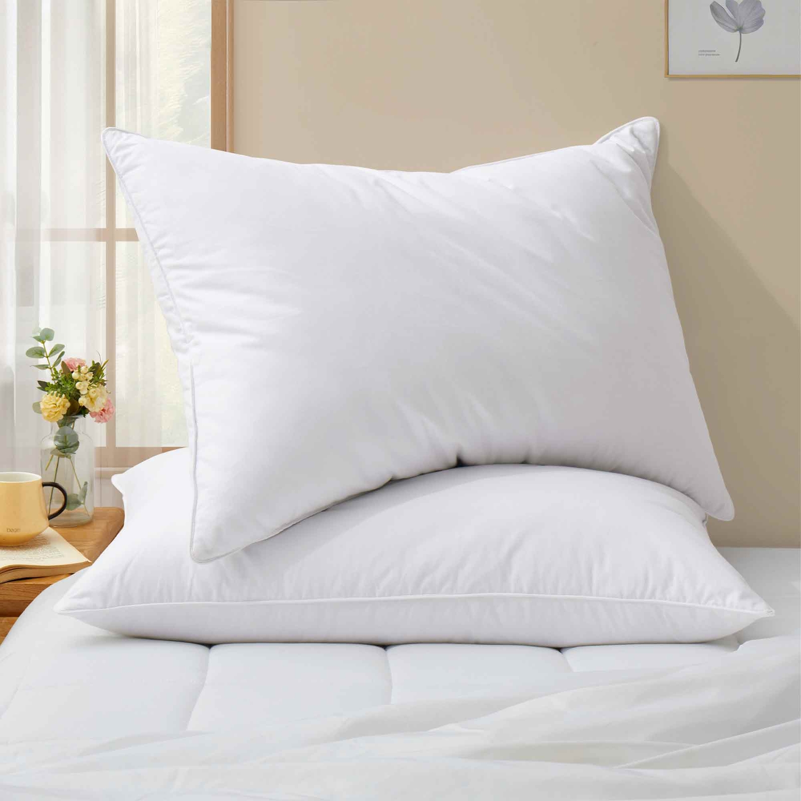 2 Pack Soft To Medium White Down Feather Bed Pillows , 100% Cotton Cover