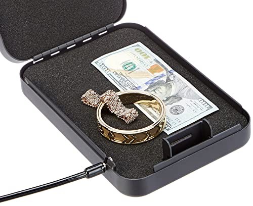 Amazon Basics Portable Security Case Lock Box Safe with Large, Black