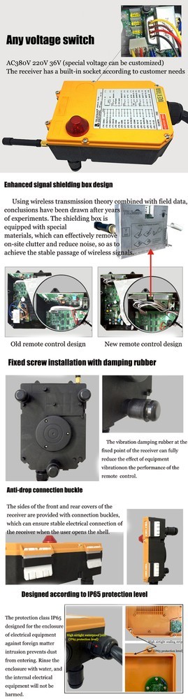 Industrial Crane Remote Control - Wireless 20-Button Radio (Single/Double)