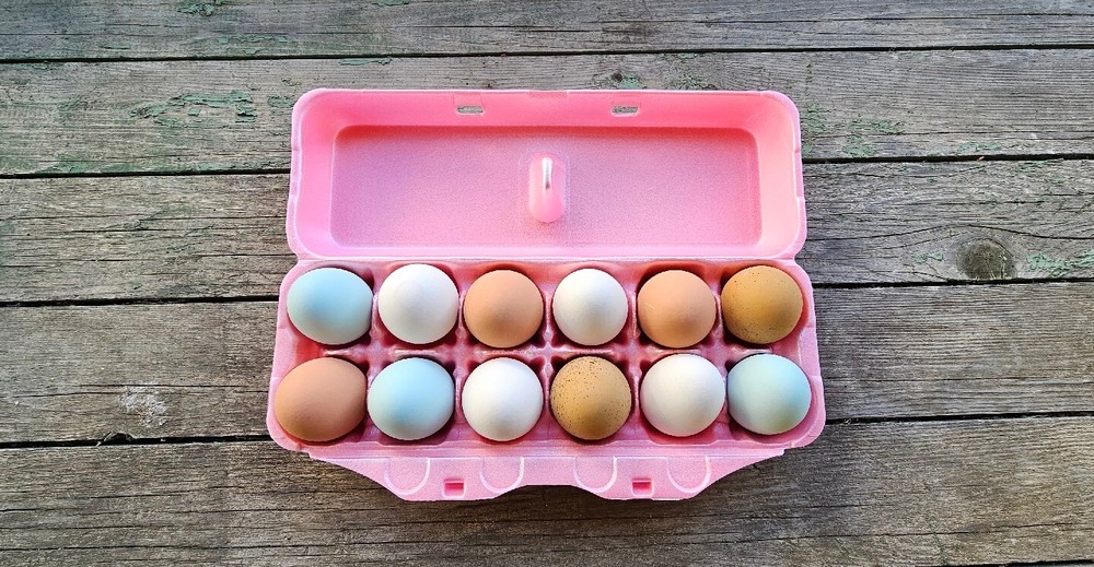 Styrofoam Bulk Egg Cartons (250 pack) Carton Pink