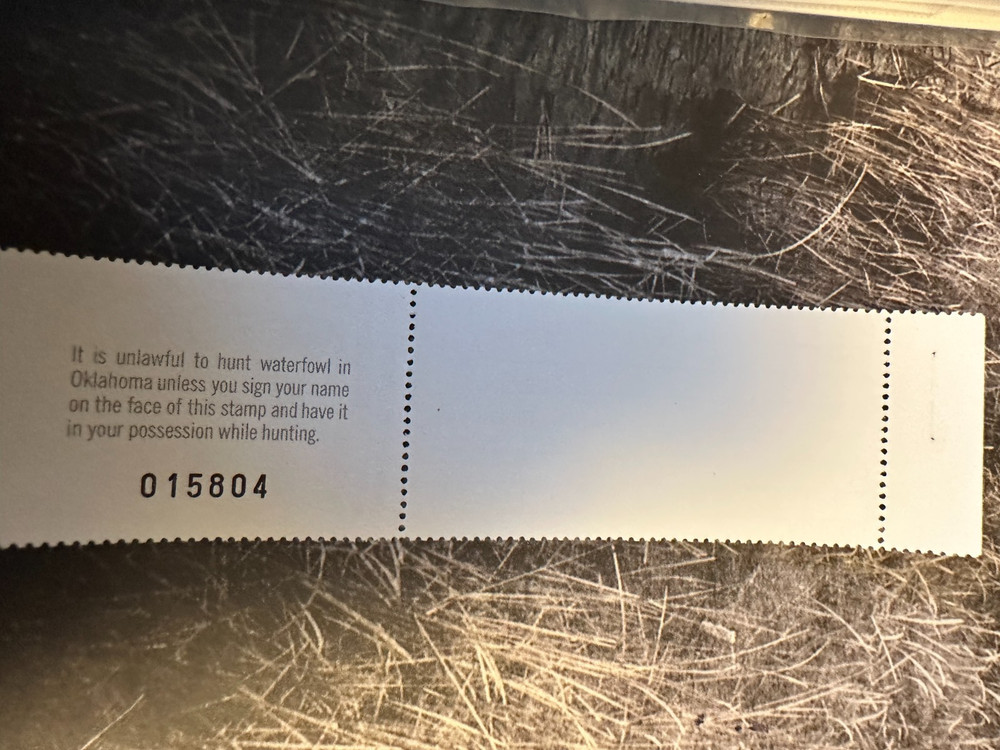 1994 Oklahoma State Duck Stamp, Hunter