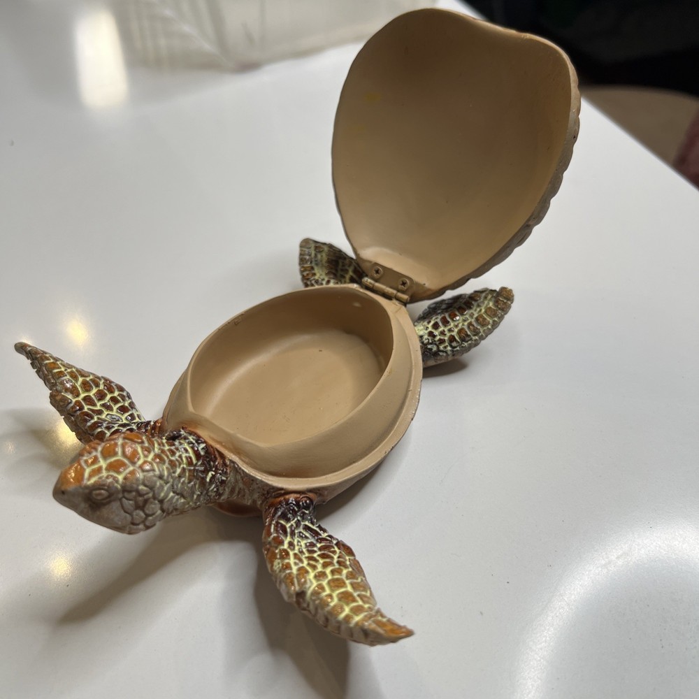 Turtles 5 Pieces Sea Turtles