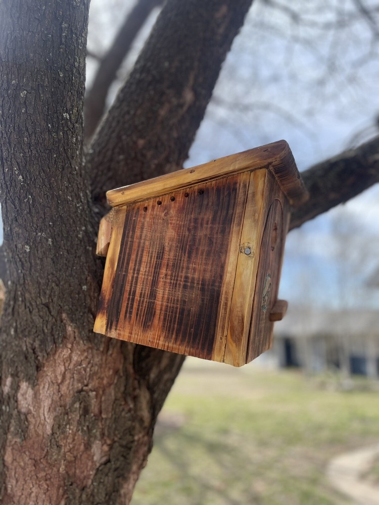 Handcrafted Cedar Bluebird Birdhouse Outhouse