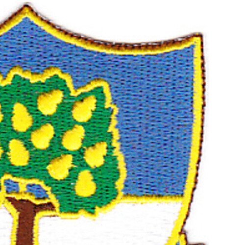 304th Infantry Regiment PatchH