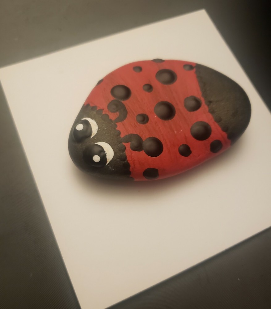 Ladybug painted mandala rock art