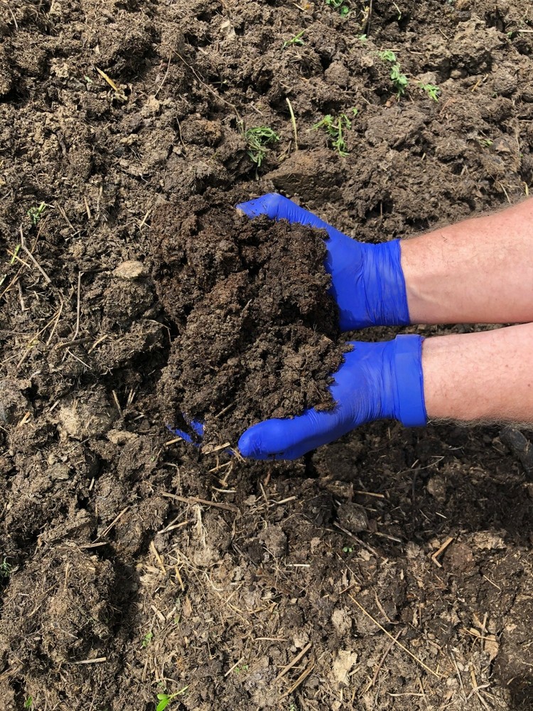 Walnut Meadow Horse Manure Compost: Dried