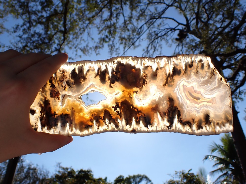 GRAVEYARD POINT PLUME AGATE BODACIOUS SLAB 367.5g 10x4"