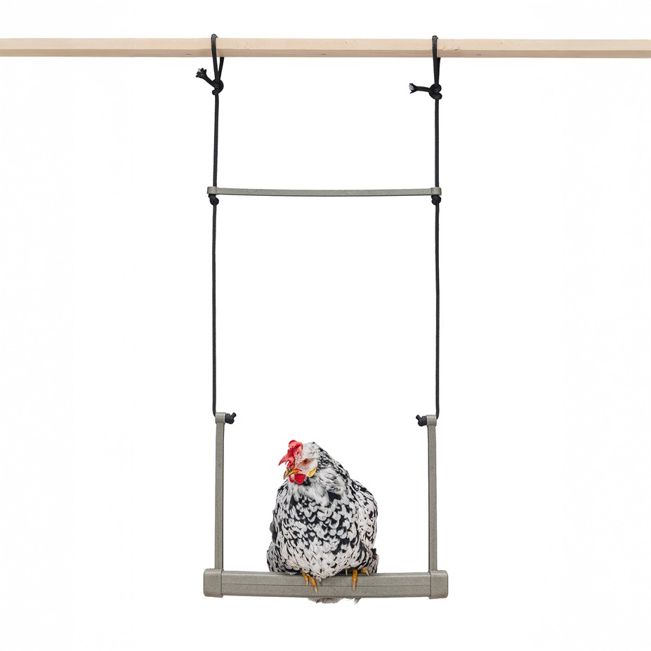 CHICKEN SWING 100% RECYCLED