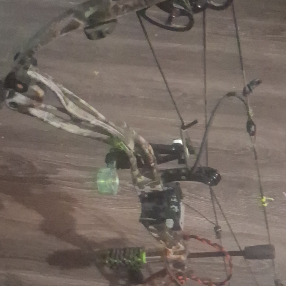 60 lb rytera/Martin Alien x bow
