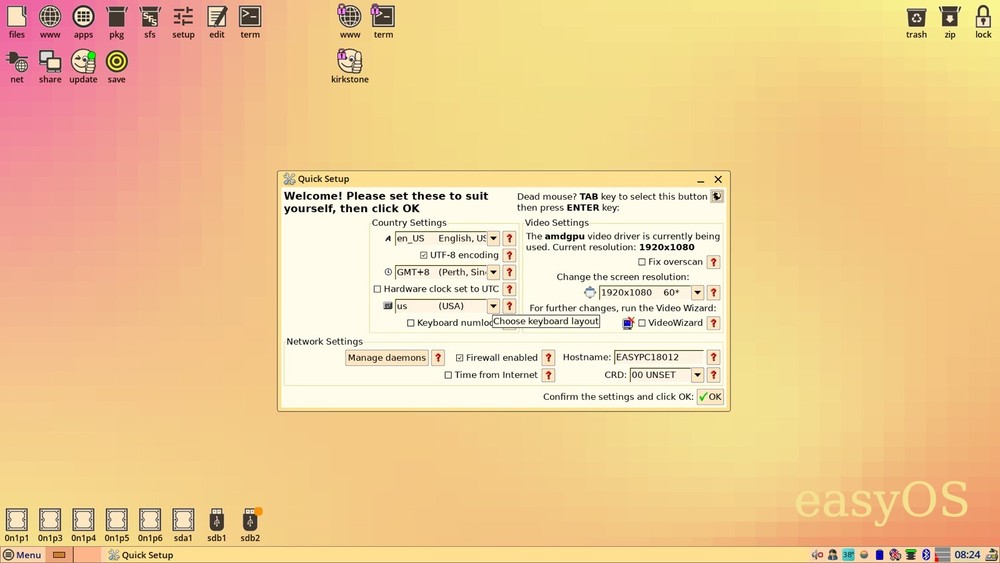 EASYOS 6.5 Linux Bootable Installer USB Flash Drive 64Bit Easy OS