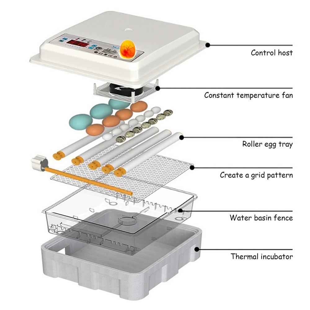 16/36 Eggs Digital Incubator Hatcher Temperature Control Automatic Turning 110V