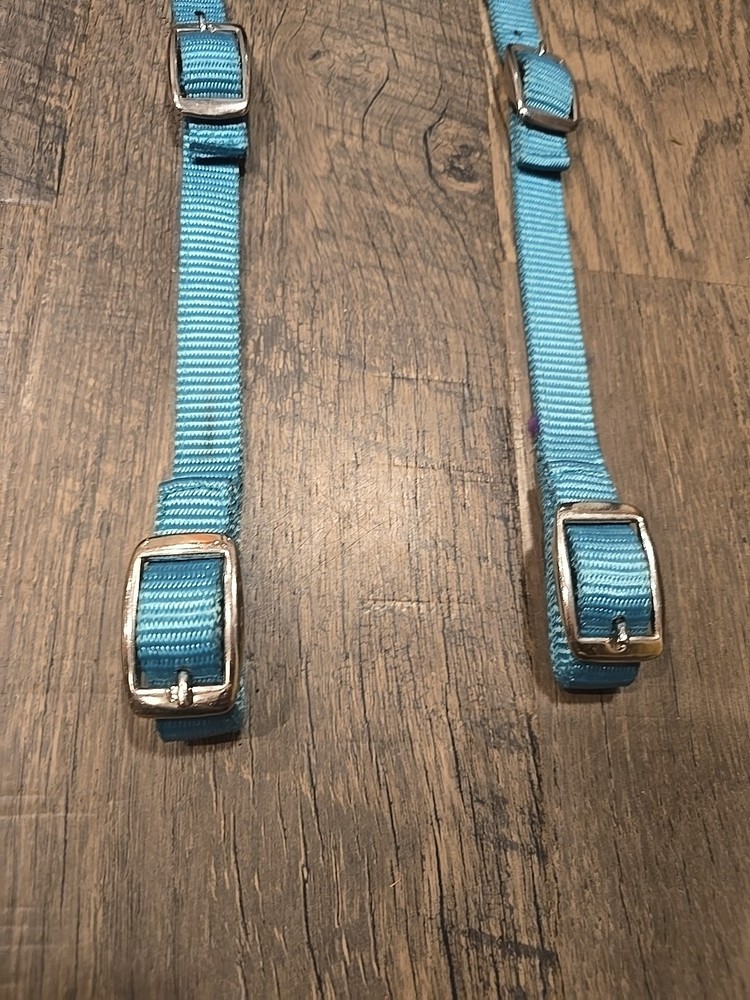 western headstall