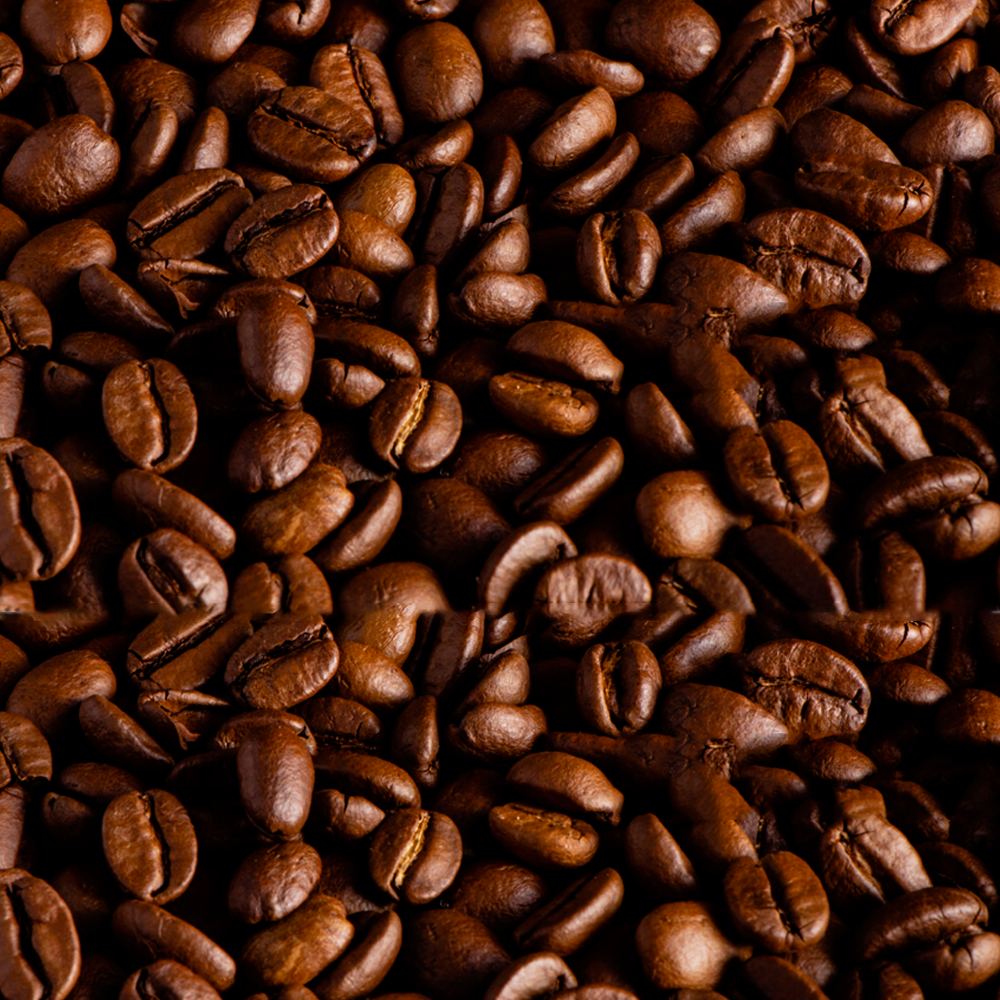 TANZANIA KILIMANJARO COFFEE BEANS PEABERRY MEDIUM ROASTED 5 POUNDS