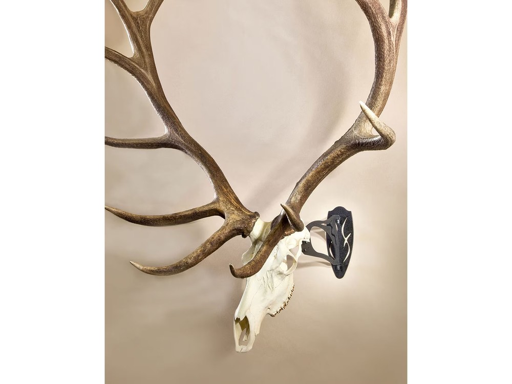 Skull Hooker Big Hooker Long Arm European Mount Matte Black
