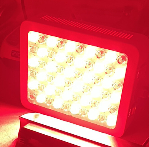 LED Grow Light 🔆 🔆🔆