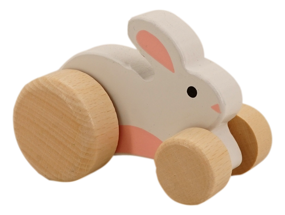 Wooden Push Pull Toys (3 Pack, Rabbit, Duck, Turtle, 4.5 in tall) Up Down