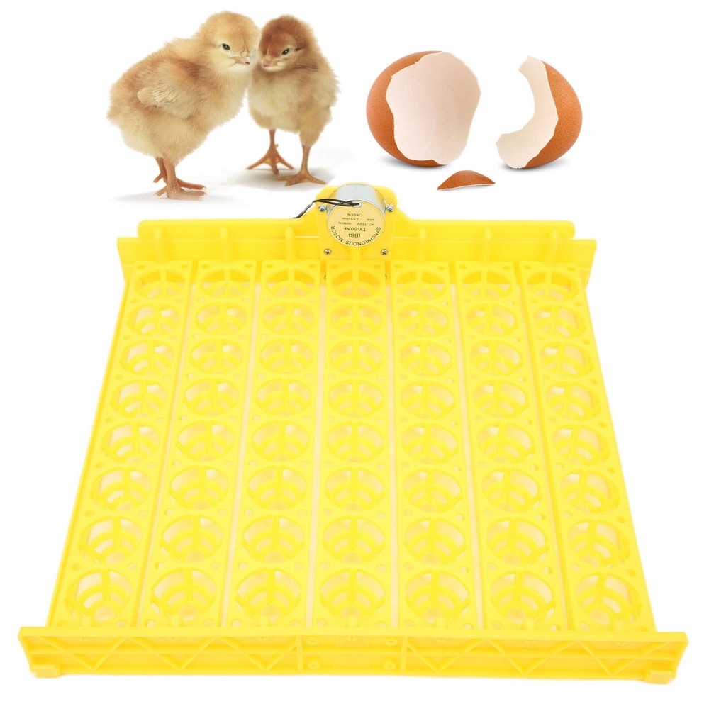Automatic Egg Turner 56 Eggs ABS Automatic Egg Turner for Automatic EggIncubator