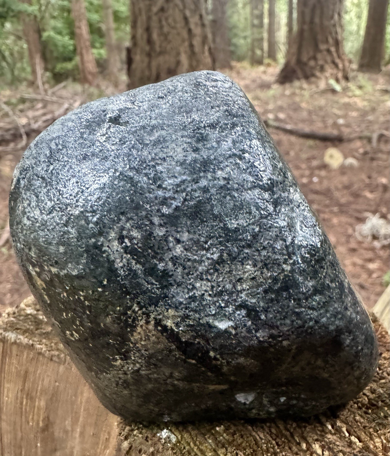 1.06kg Crab Concretion –Rare Blue-Slate Preservation Premium Blakeley Formation