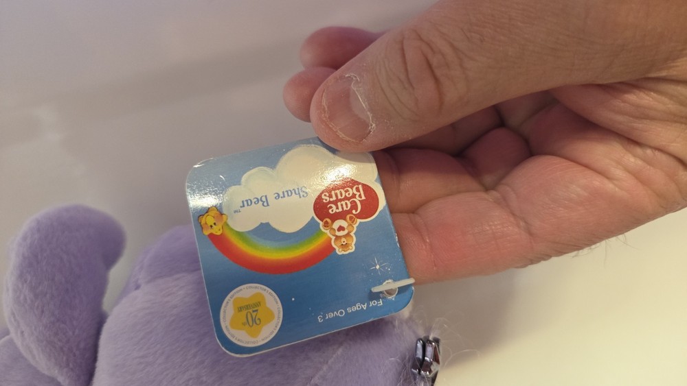 13in 20th Anniversary Share Care Bear
