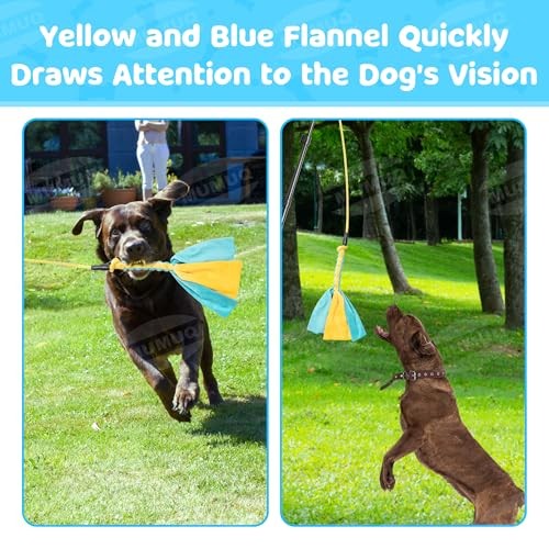 Dog Flirt Pole, Retractable Teasing Stick with Lure, Interactive Dog 40 Inch