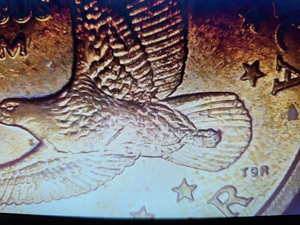 Sacagawea Dollar Wounded Eagle 2000 P