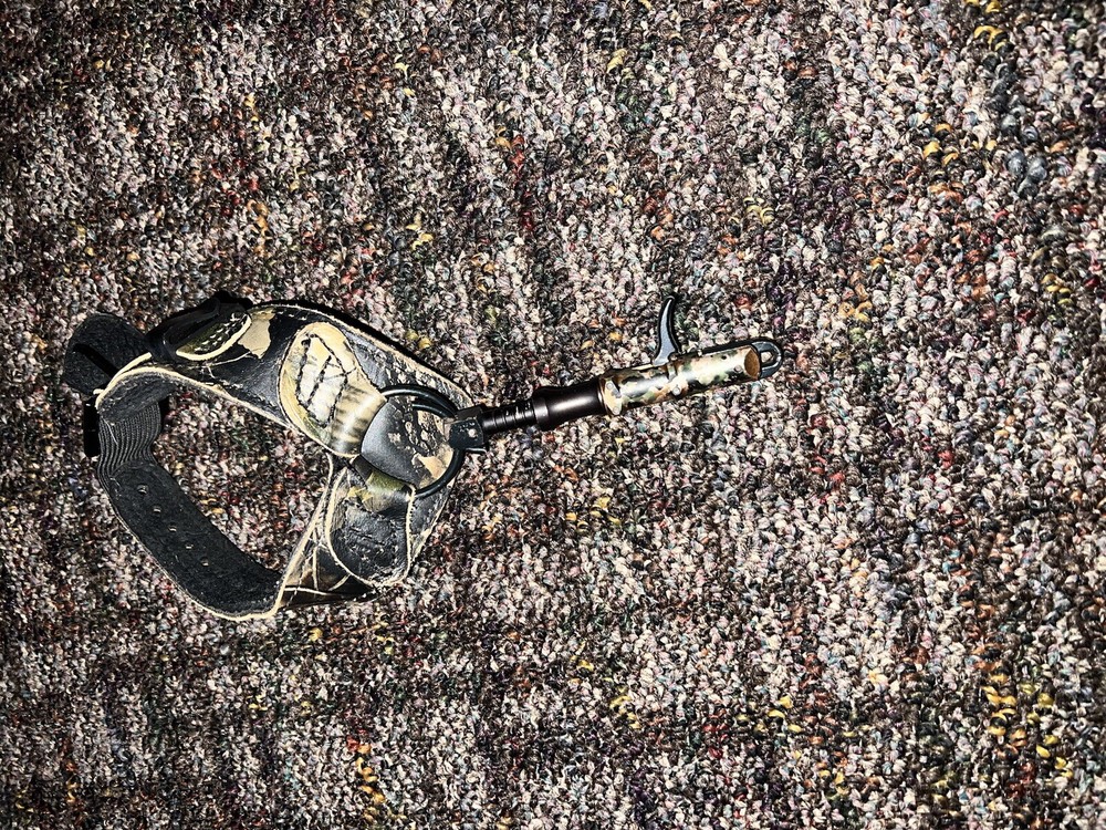 Bear Paradox Compound Bow