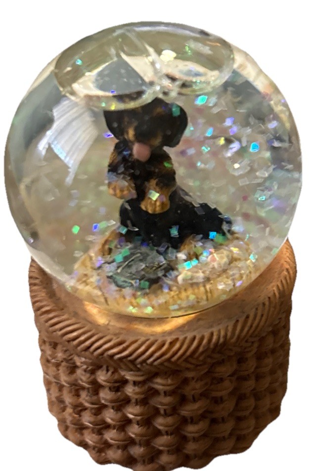 Encore Mini Snow Globe With Black Dachshund