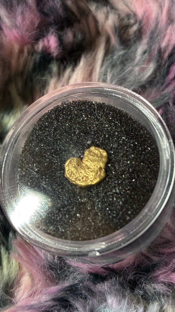 .653 American River CA Gold Nugget