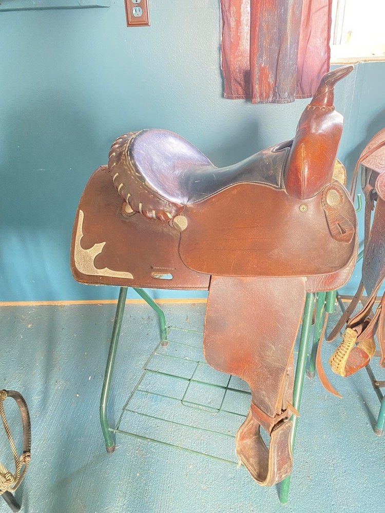Brown Saddle. Kids