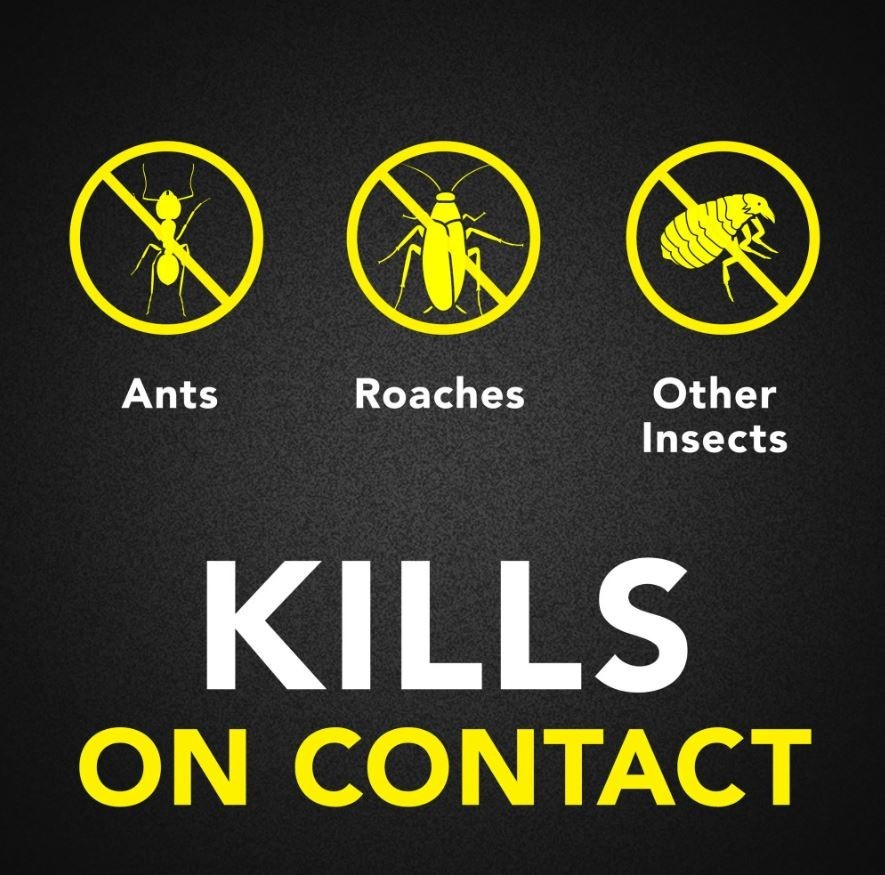 Raid Ant & Roach Killer Spray Lavender Scent for Listed Bugs 17.5 oz