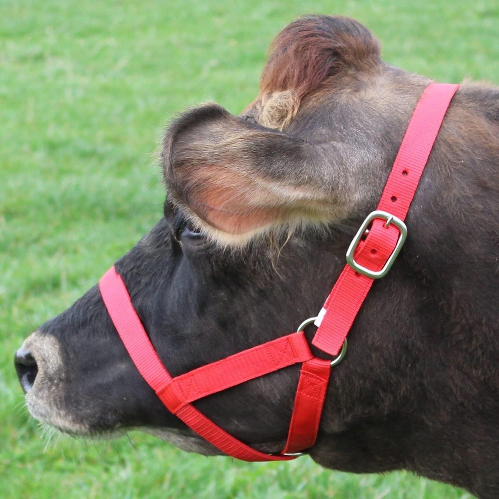 Adjustable Nylon Livestock Cattle Halters