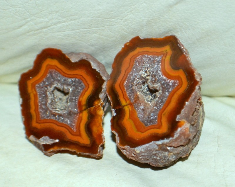 10 pcs Lot Pair Condor Agates from Argentina Wholesale Bulk *