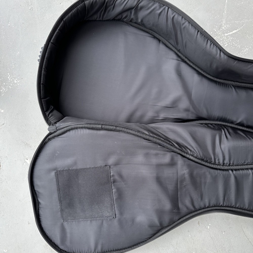 Roadrunner Mandolin Gig Bag