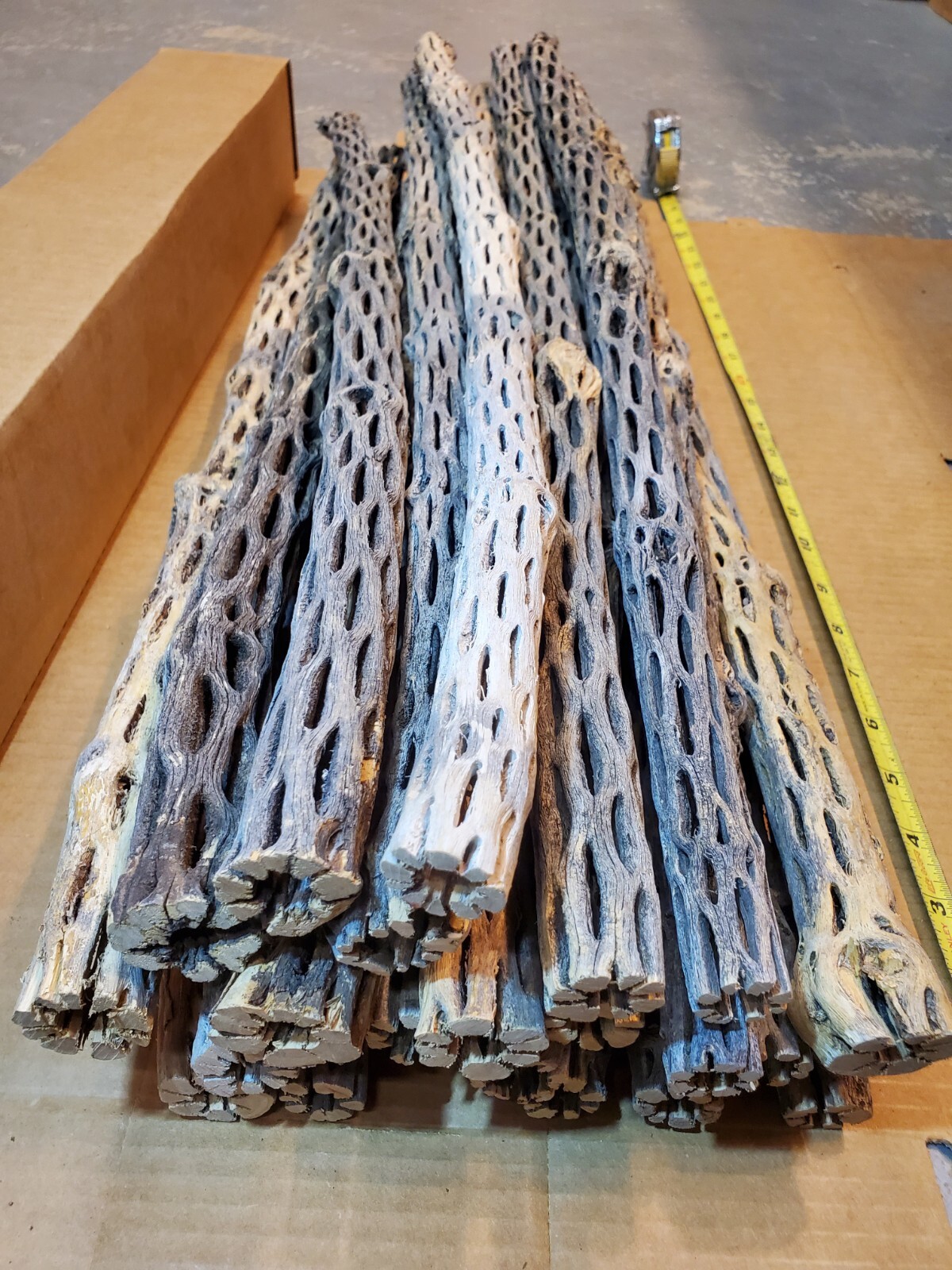 NEW! 3 CHOLLA Wood Pieces 24" inch EXTRA LONG Straight | Organic Aquarium Craft