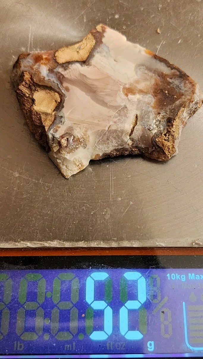 Buchanan Thunderegg - Porcelain Jasper With Orbs High Quality Lapidary, OR. 52g