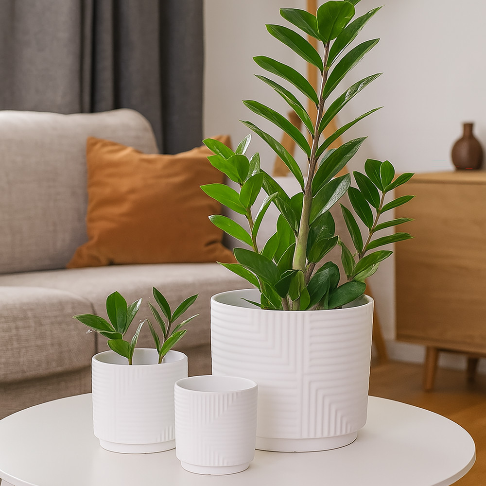 3-Piece White Stoneware Planter Set with Geometric Line Design
