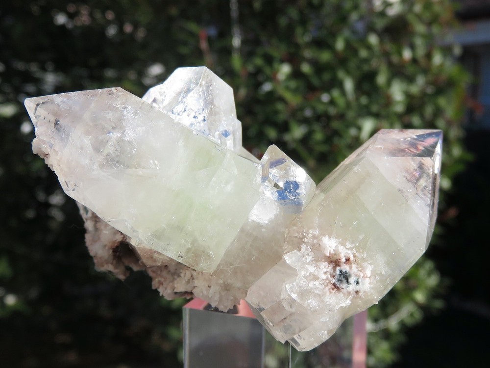 Apophyllite Crystals On Matrix India