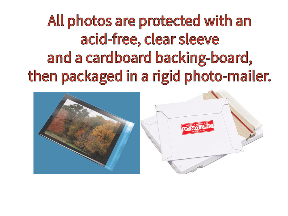 J. COLE Hand Signed Original 8x10 inch Authentic Autograph w/COA