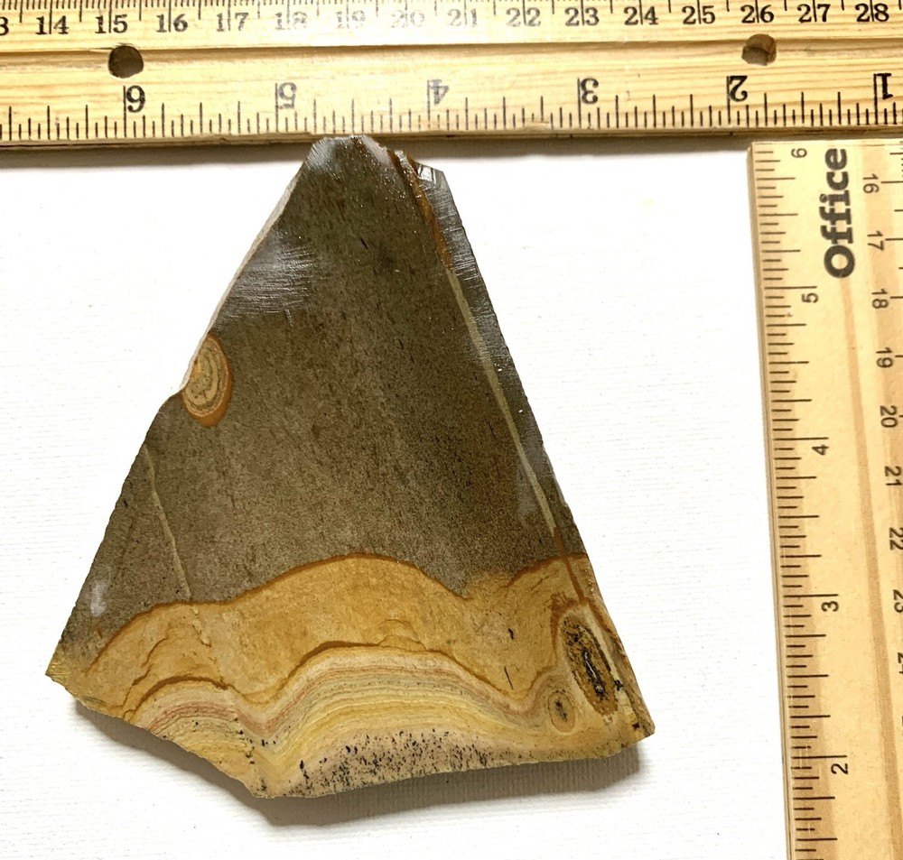 Shadow Mountain Picture Jasper Slab