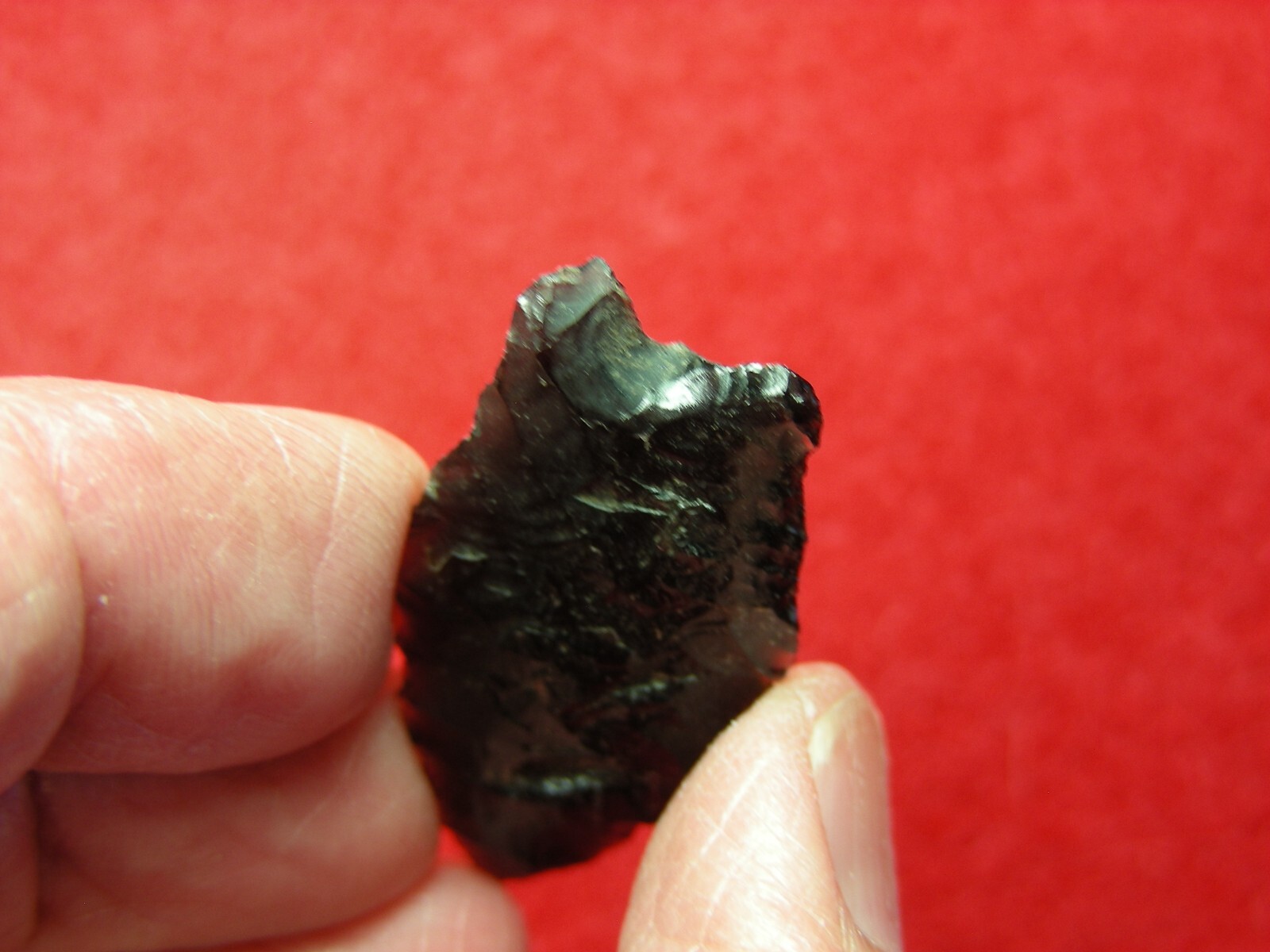 HUMBOLDT 1-1/2" CALIFORNIA Authentic Indian Relics