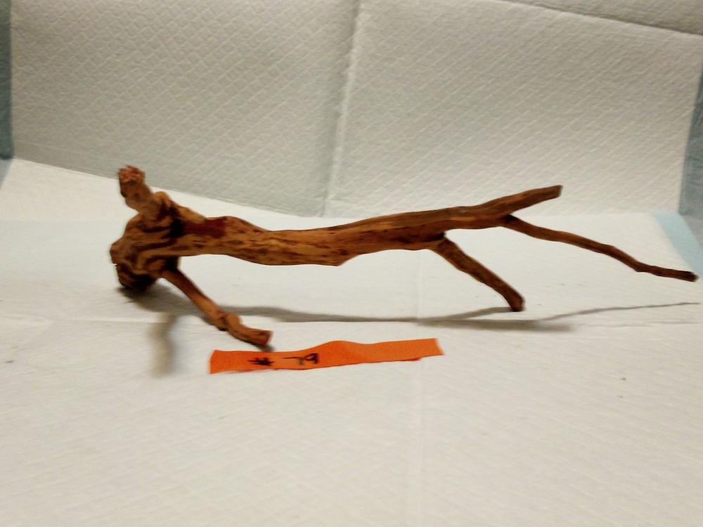 #79 Aquarium Driftwood Decoration