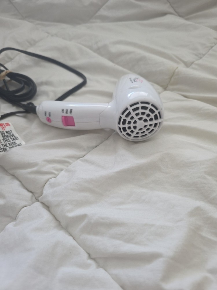 Tiny Hair DRYER BIG DRY