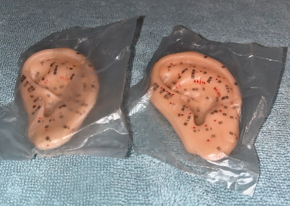 Acupuncture Left Ear Accupoint Model Replica Learning Simulation Lot/2 Unopened