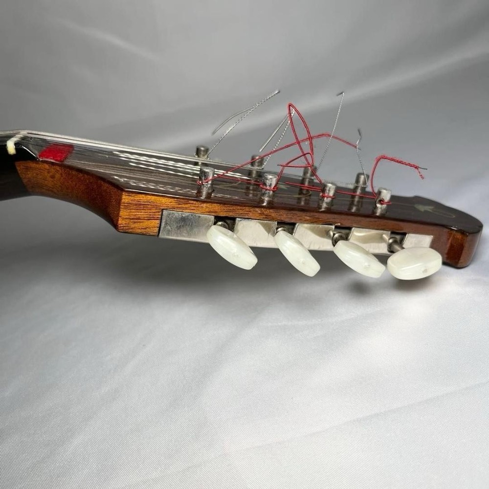 Mandolin Raffaele Calace Type15 raffaele calace