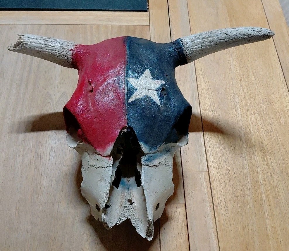 bull skull with Texas Flag