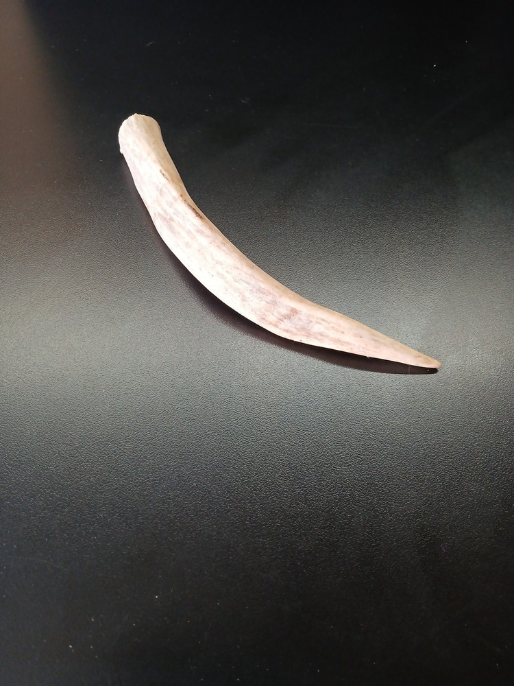 Knapping Tool, Deer Antler Tine