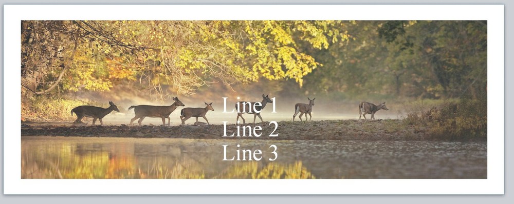 Personalized Address labels Deer Crossing Stream  (p 754)