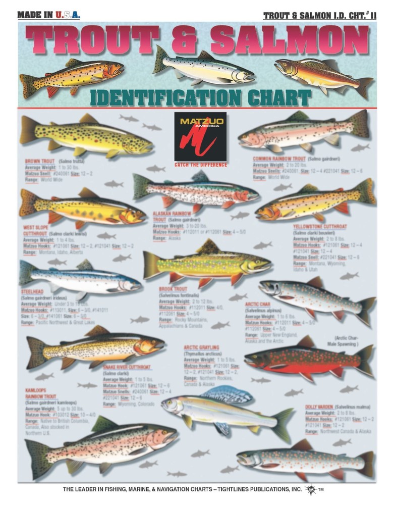 Trout and Salmon Identification #11 - Waterproof Quick Reference